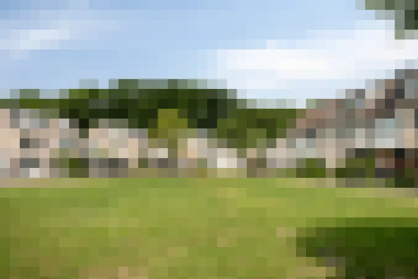 IJsvogel 80 Maarssen thumbnail 43