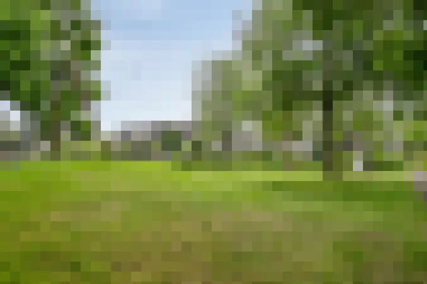 IJsvogel 80 Maarssen thumbnail 44