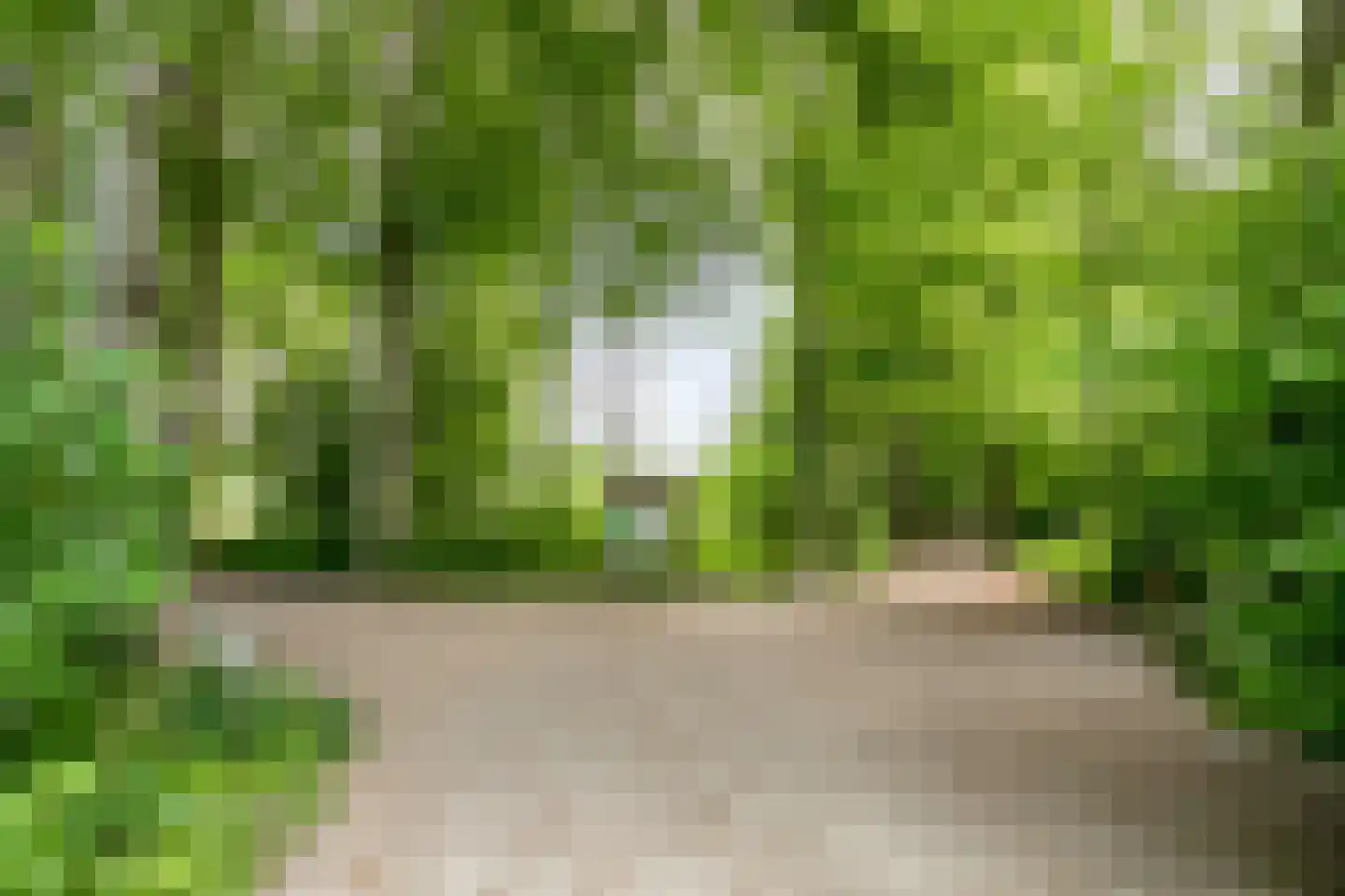 IJsvogel 80 Maarssen thumbnail 45