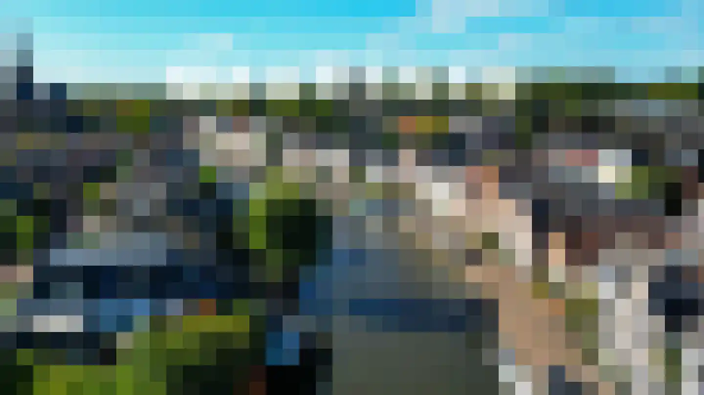 IJsvogel 80 Maarssen thumbnail 47
