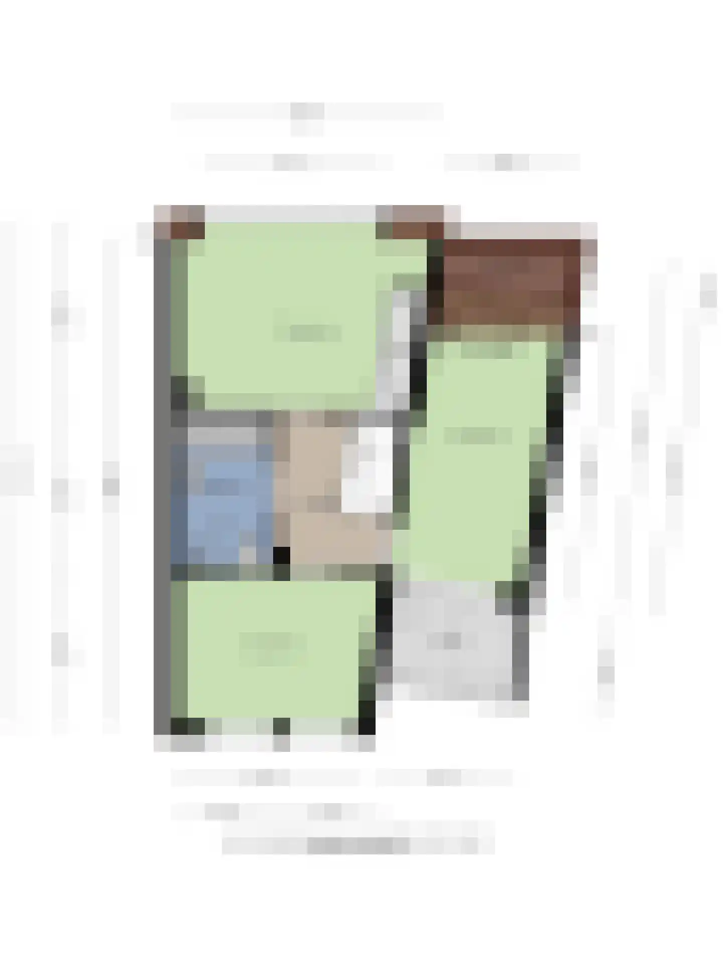 IJsvogel 80 Maarssen thumbnail 49