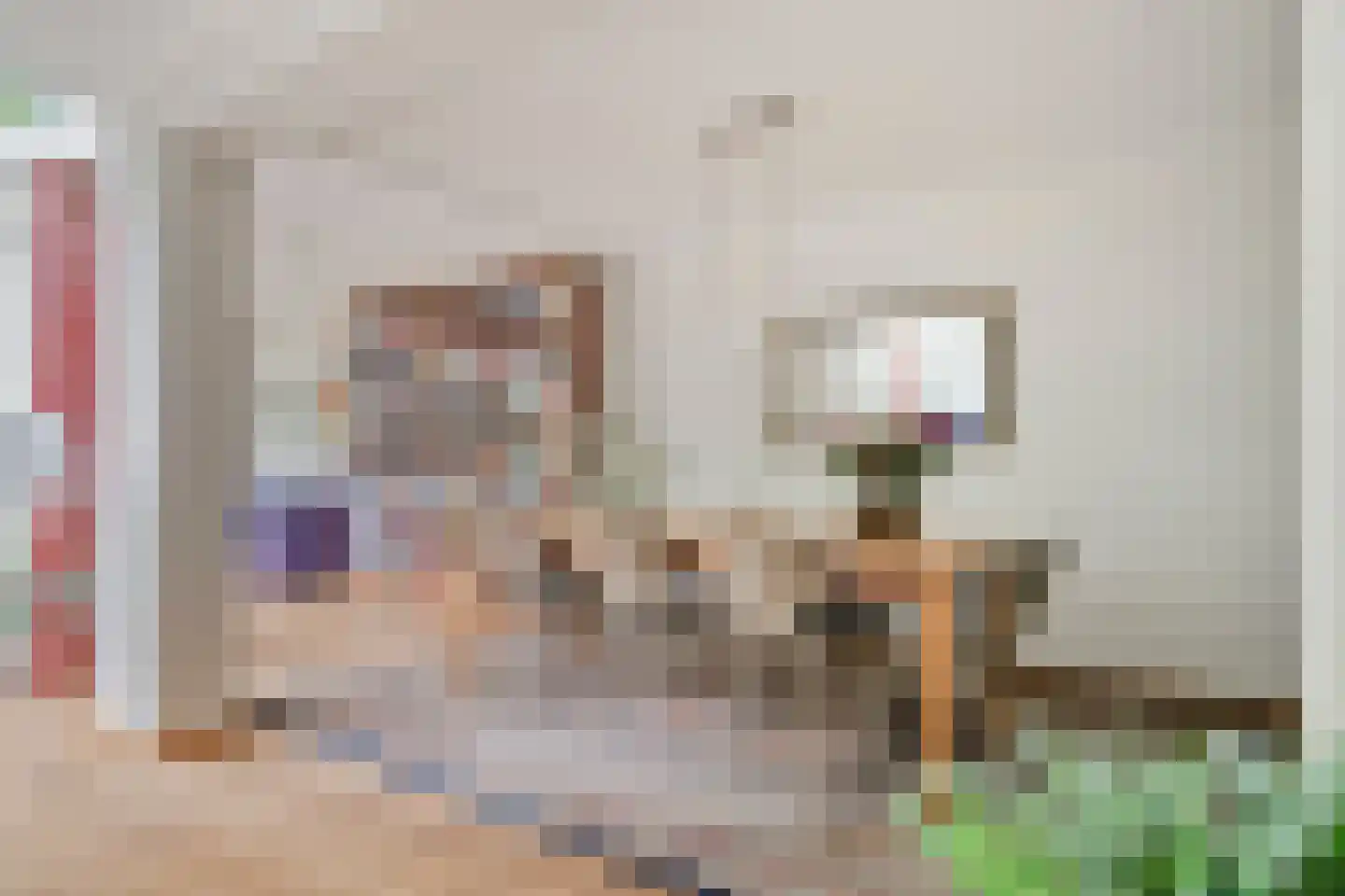 IJsvogel 80 Maarssen thumbnail 5