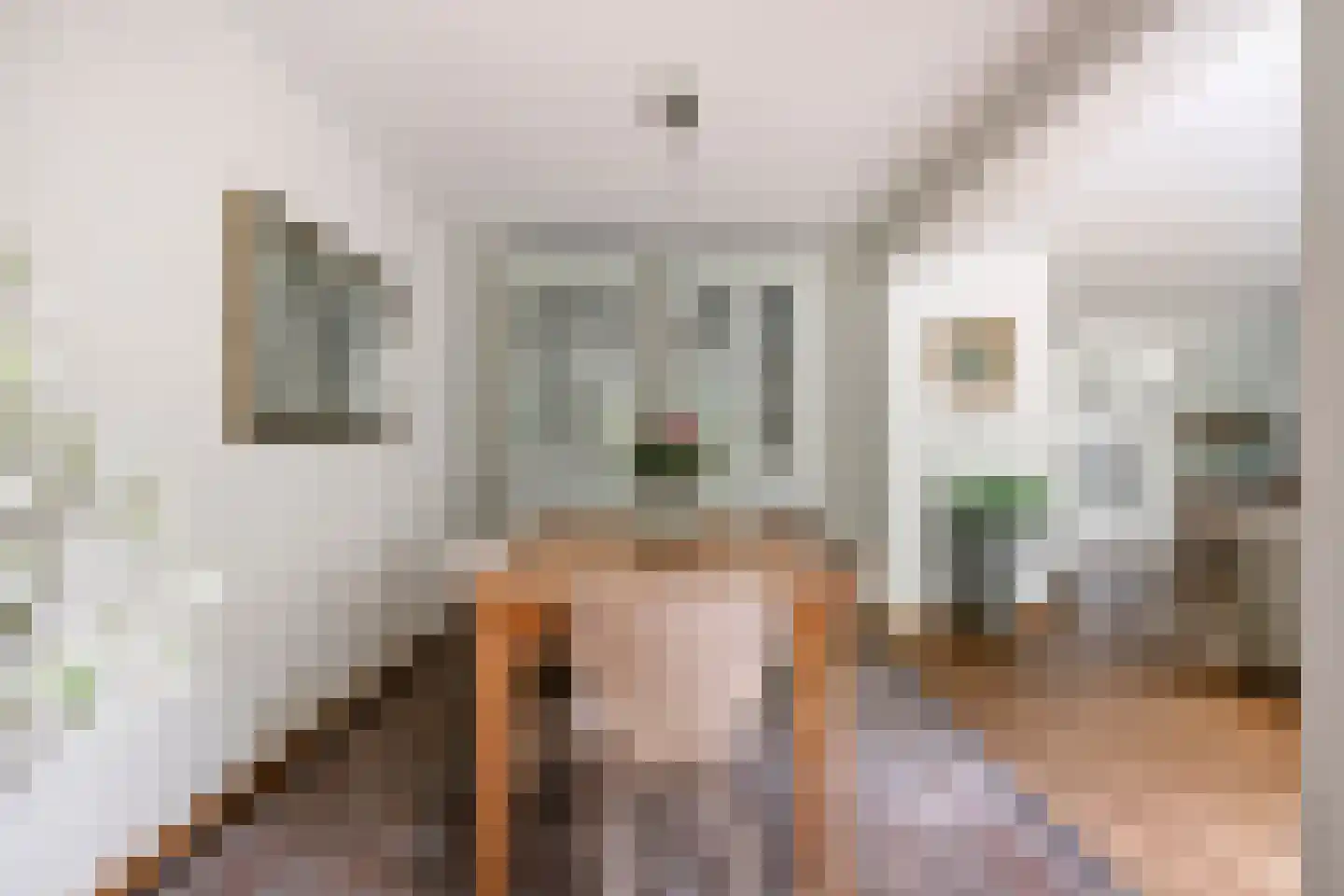 IJsvogel 80 Maarssen thumbnail 6