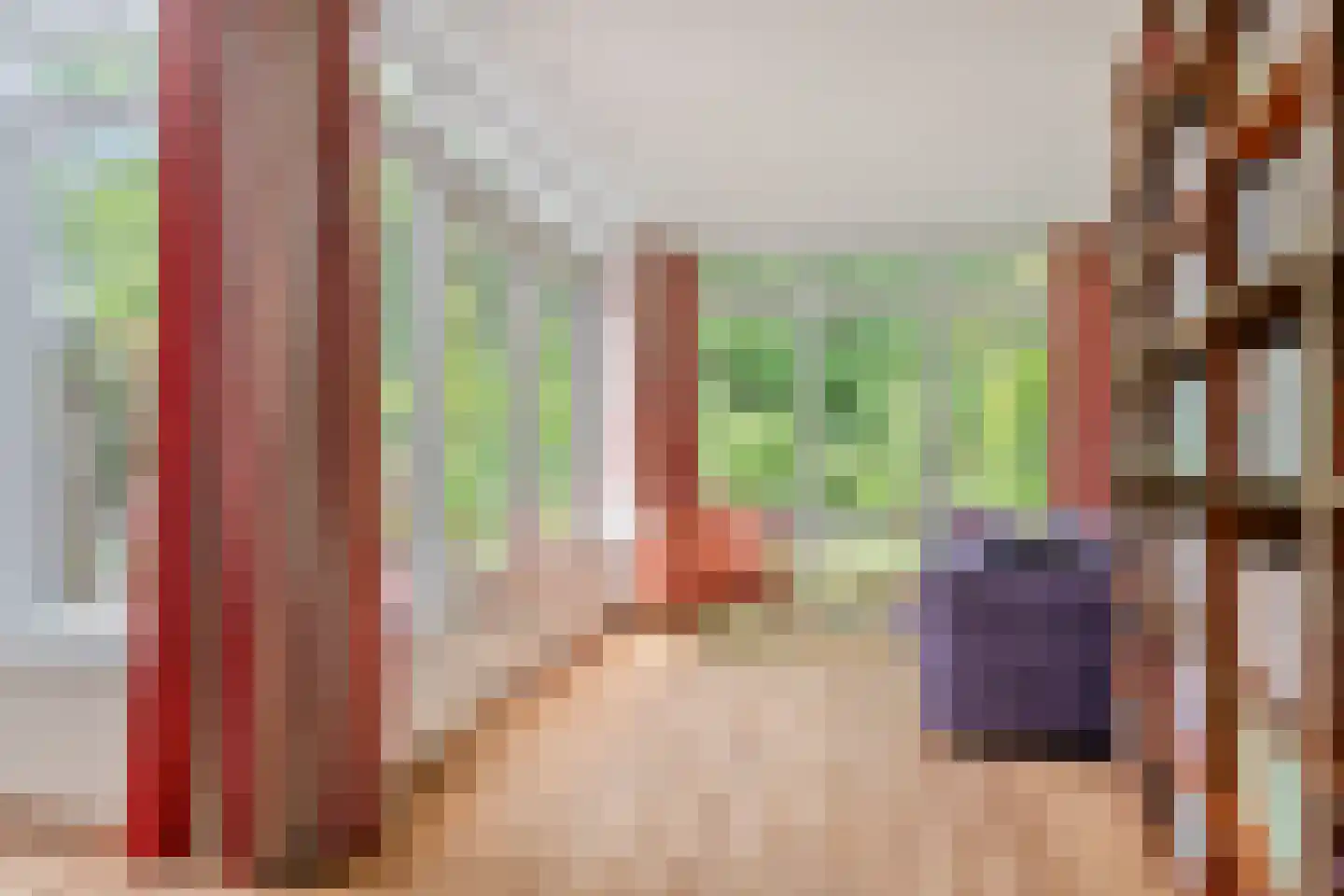 IJsvogel 80 Maarssen thumbnail 7