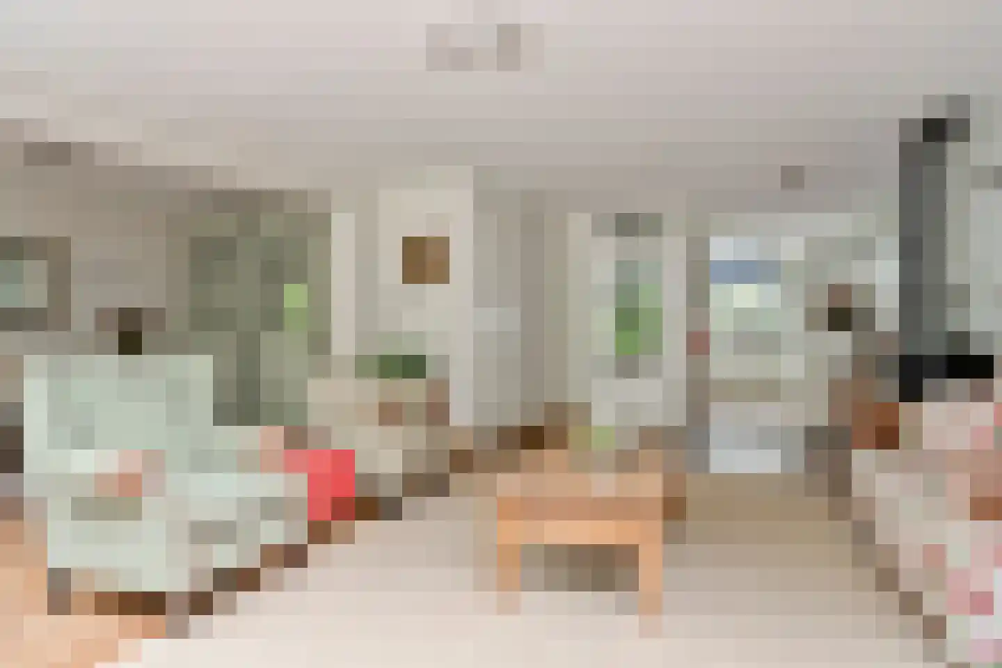 IJsvogel 80 Maarssen thumbnail 9