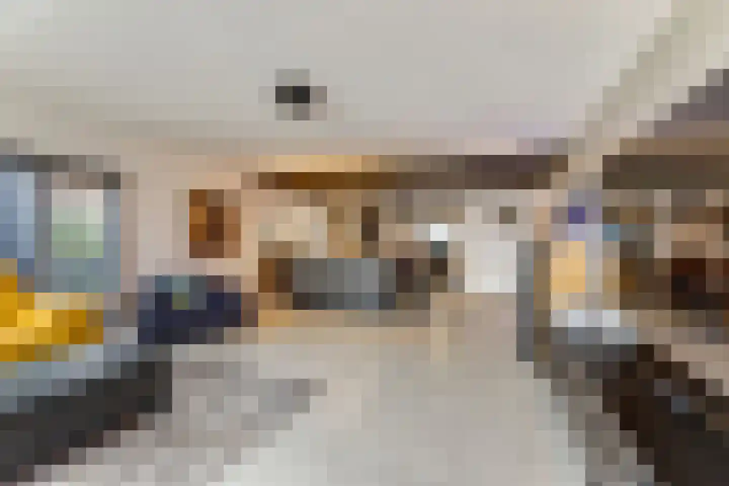 IJsvogel 81 Lathum thumbnail 10