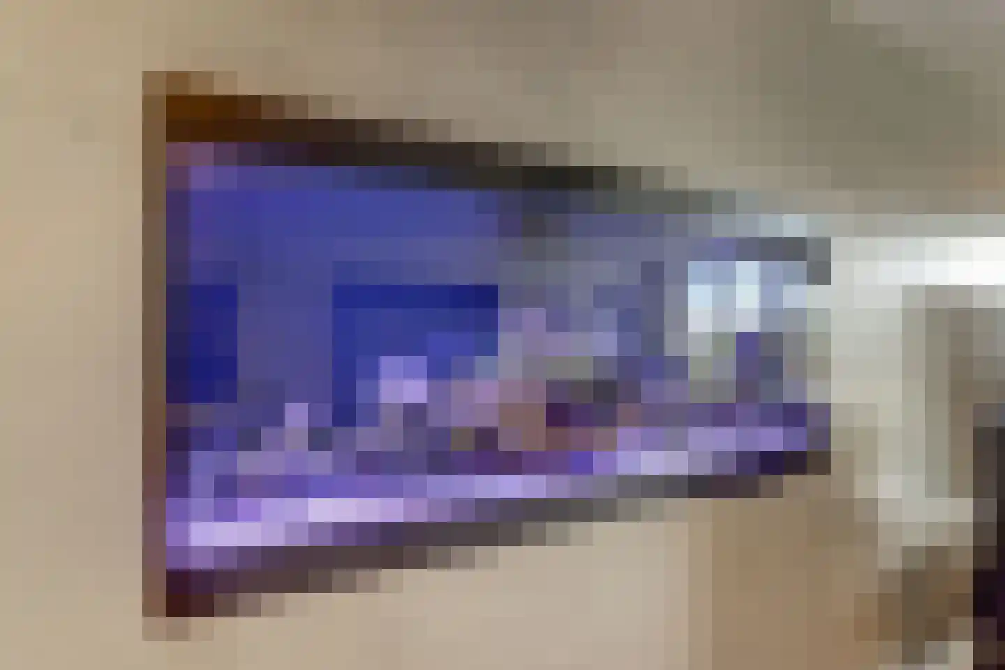 IJsvogel 81 Lathum thumbnail 11
