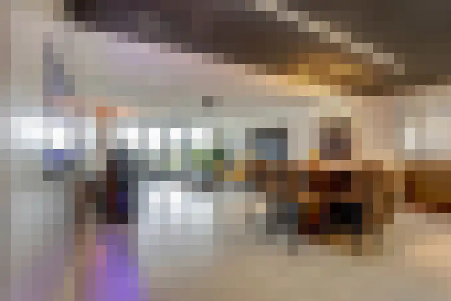IJsvogel 81 Lathum thumbnail 12