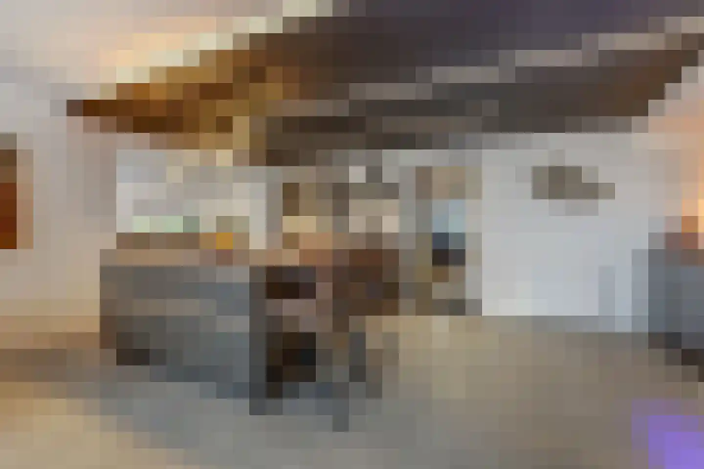 IJsvogel 81 Lathum thumbnail 13
