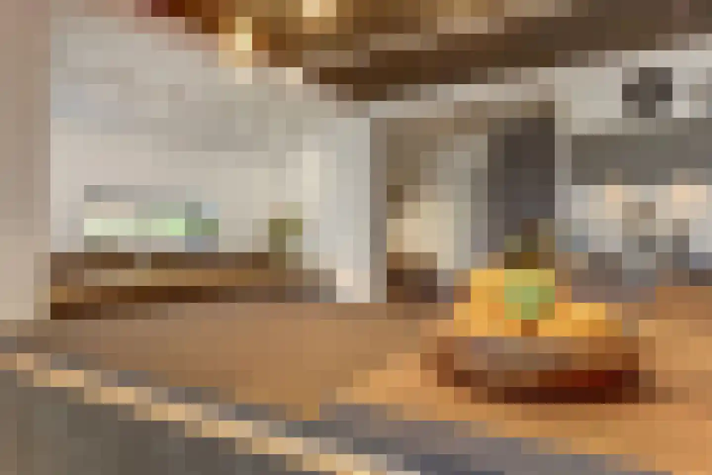 IJsvogel 81 Lathum thumbnail 14