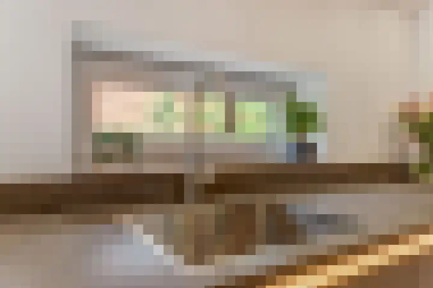 IJsvogel 81 Lathum thumbnail 15