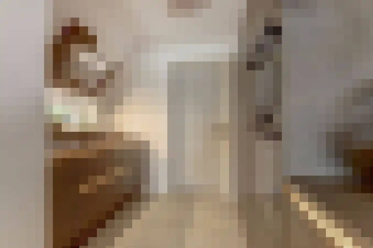 IJsvogel 81 Lathum thumbnail 16