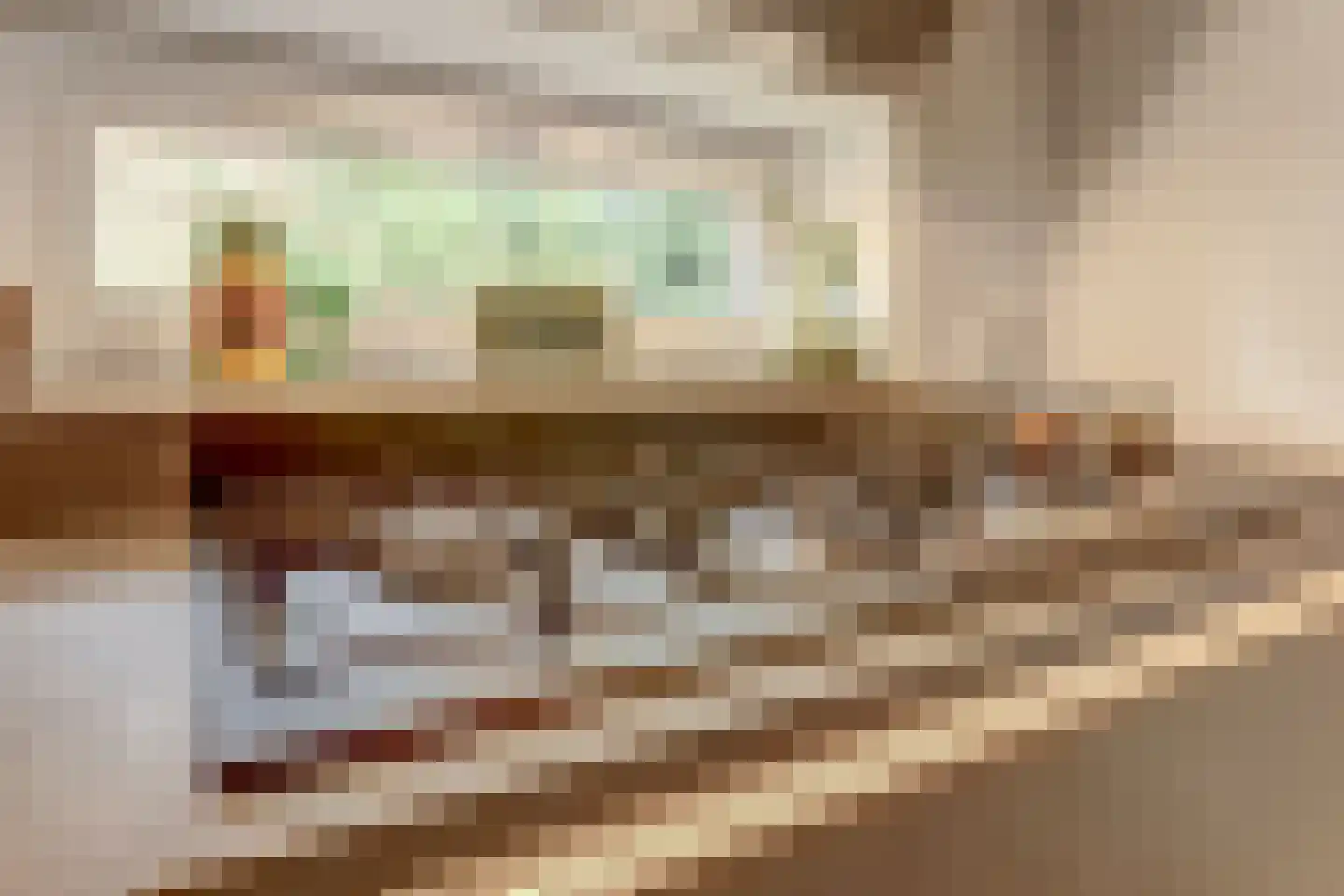 IJsvogel 81 Lathum thumbnail 17