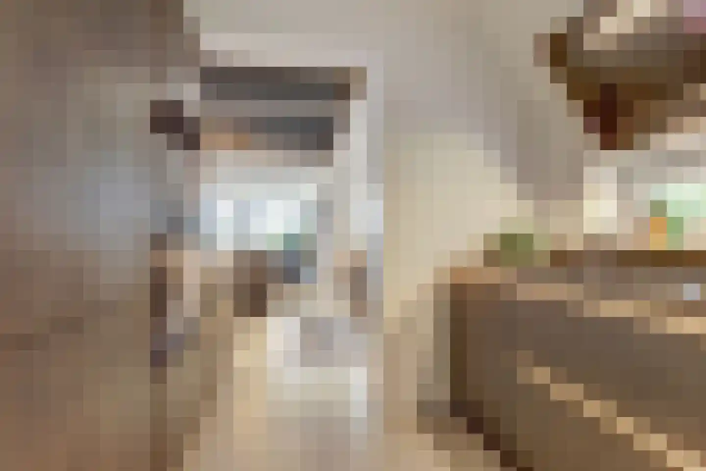 IJsvogel 81 Lathum thumbnail 18