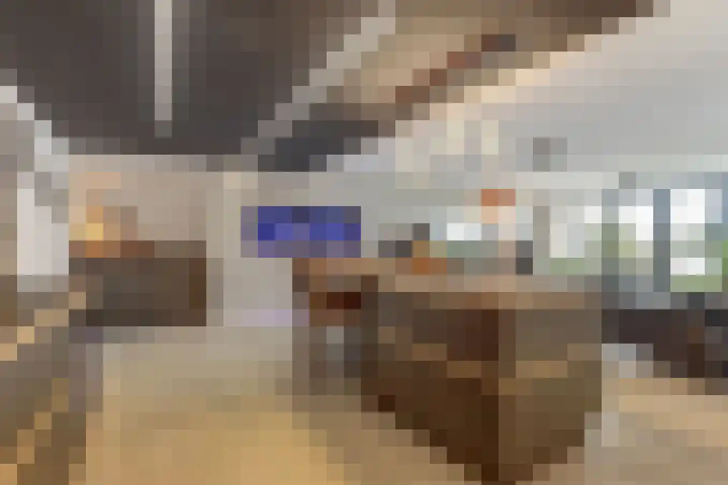 IJsvogel 81 Lathum thumbnail 19