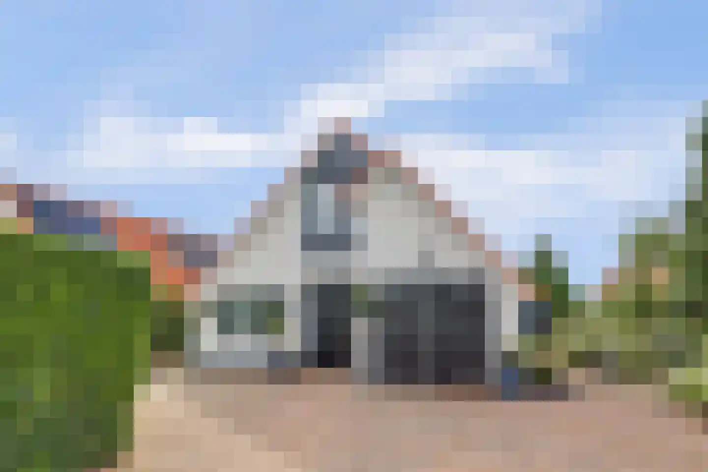 IJsvogel 81 Lathum foto 2
