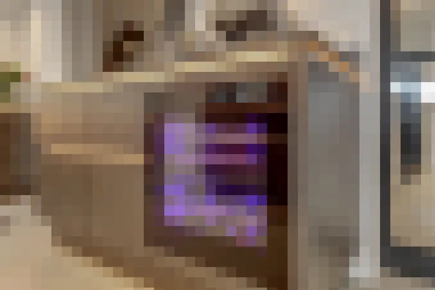 IJsvogel 81 Lathum thumbnail 21