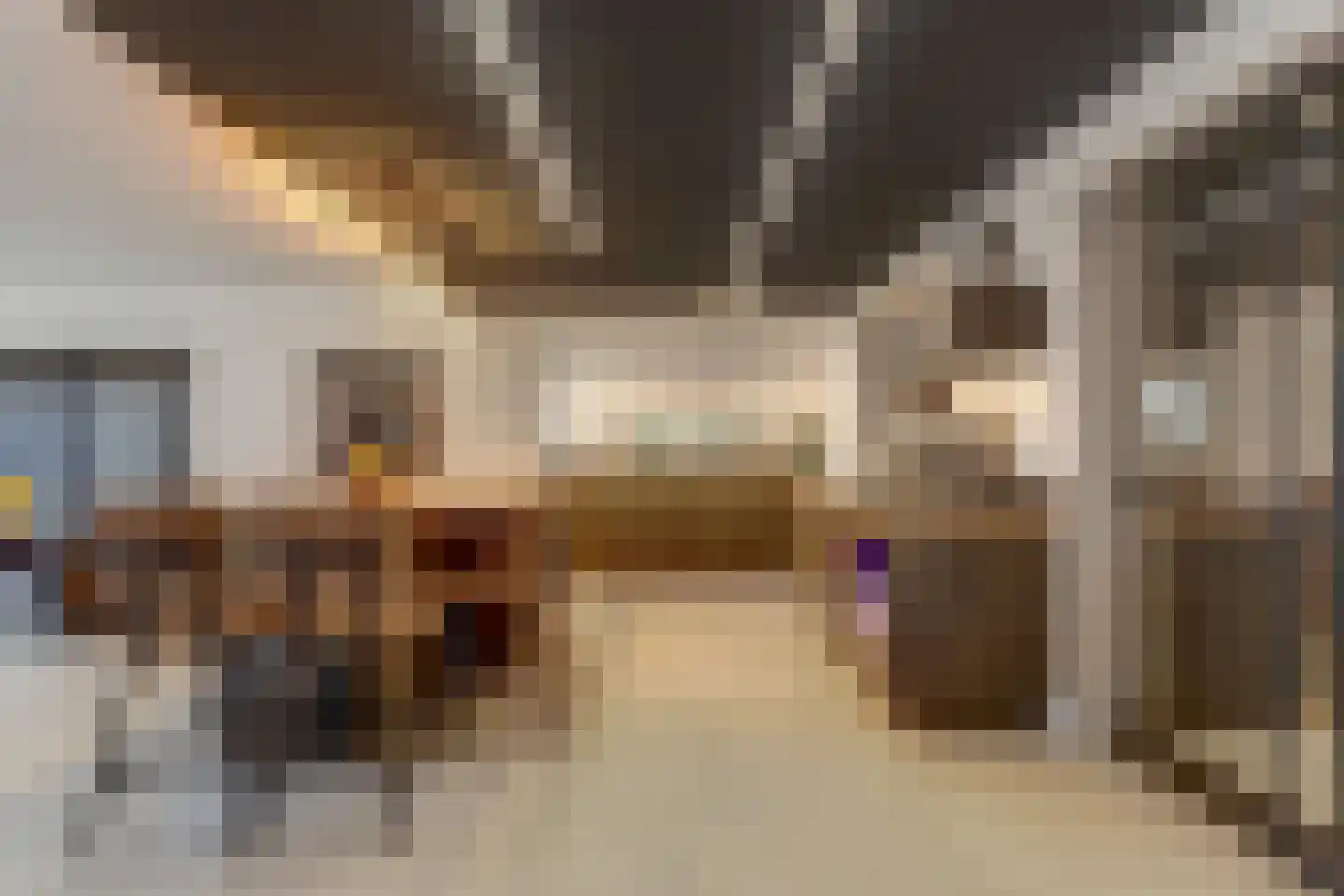 IJsvogel 81 Lathum thumbnail 23
