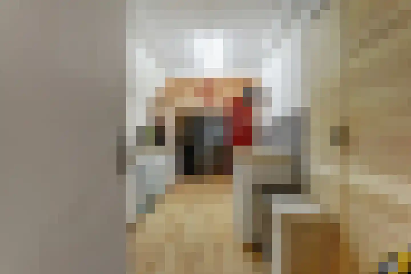 IJsvogel 81 Lathum thumbnail 24