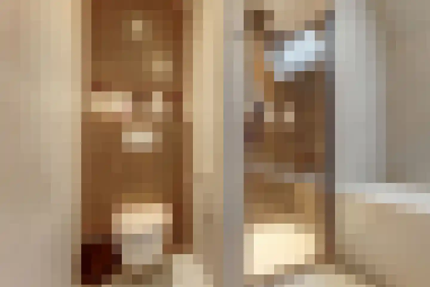 IJsvogel 81 Lathum thumbnail 29