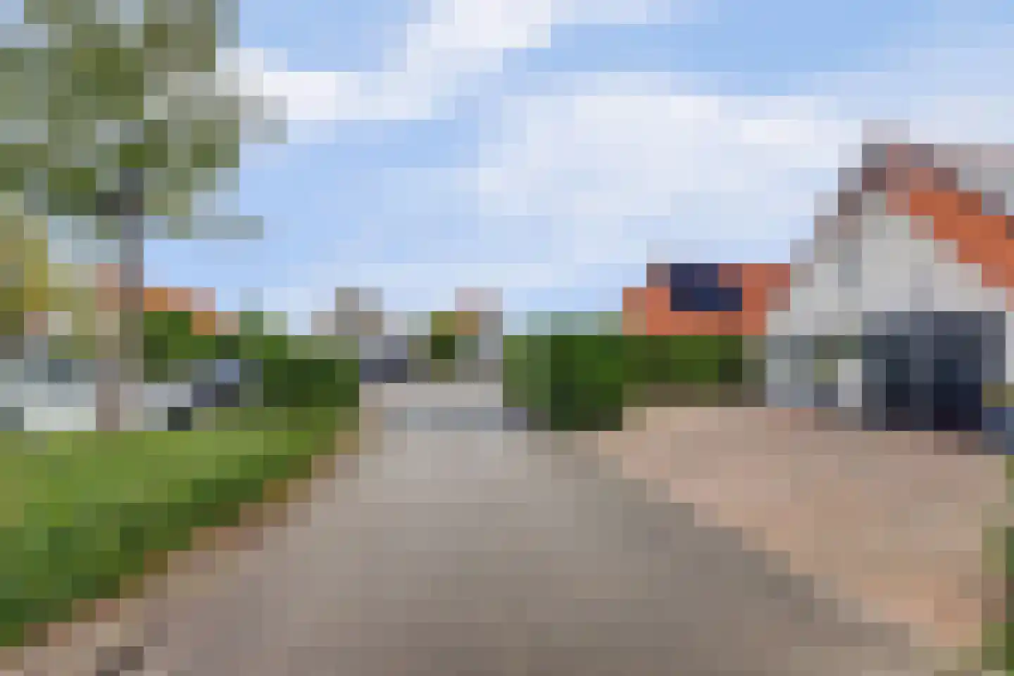 IJsvogel 81 Lathum foto 3