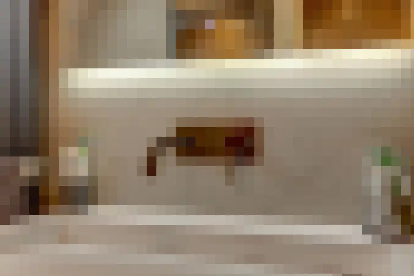 IJsvogel 81 Lathum thumbnail 31