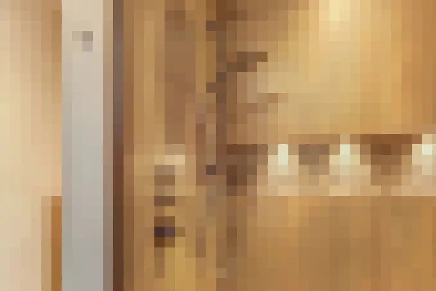 IJsvogel 81 Lathum thumbnail 34