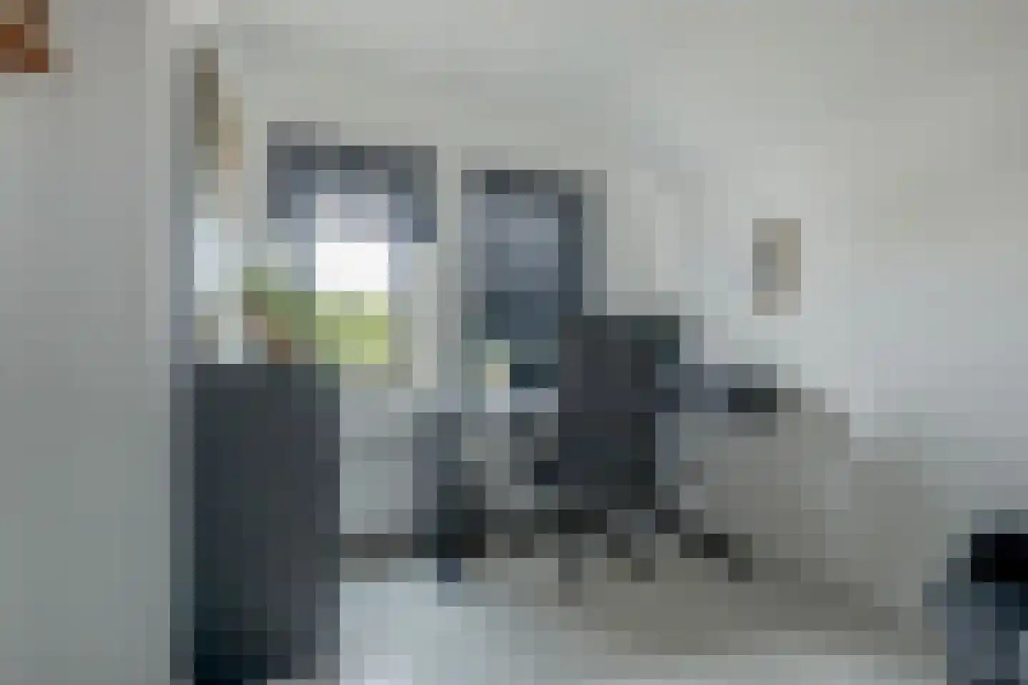 IJsvogel 81 Lathum thumbnail 36