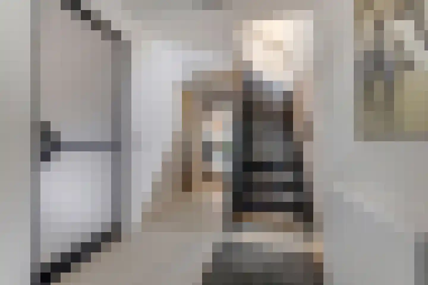 IJsvogel 81 Lathum thumbnail 38