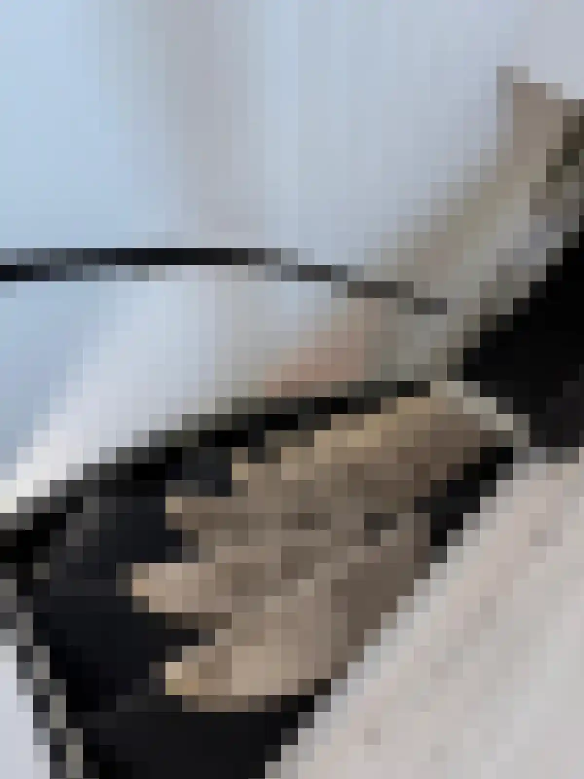 IJsvogel 81 Lathum thumbnail 39