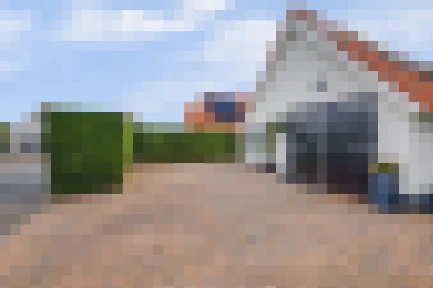 IJsvogel 81 Lathum thumbnail 4
