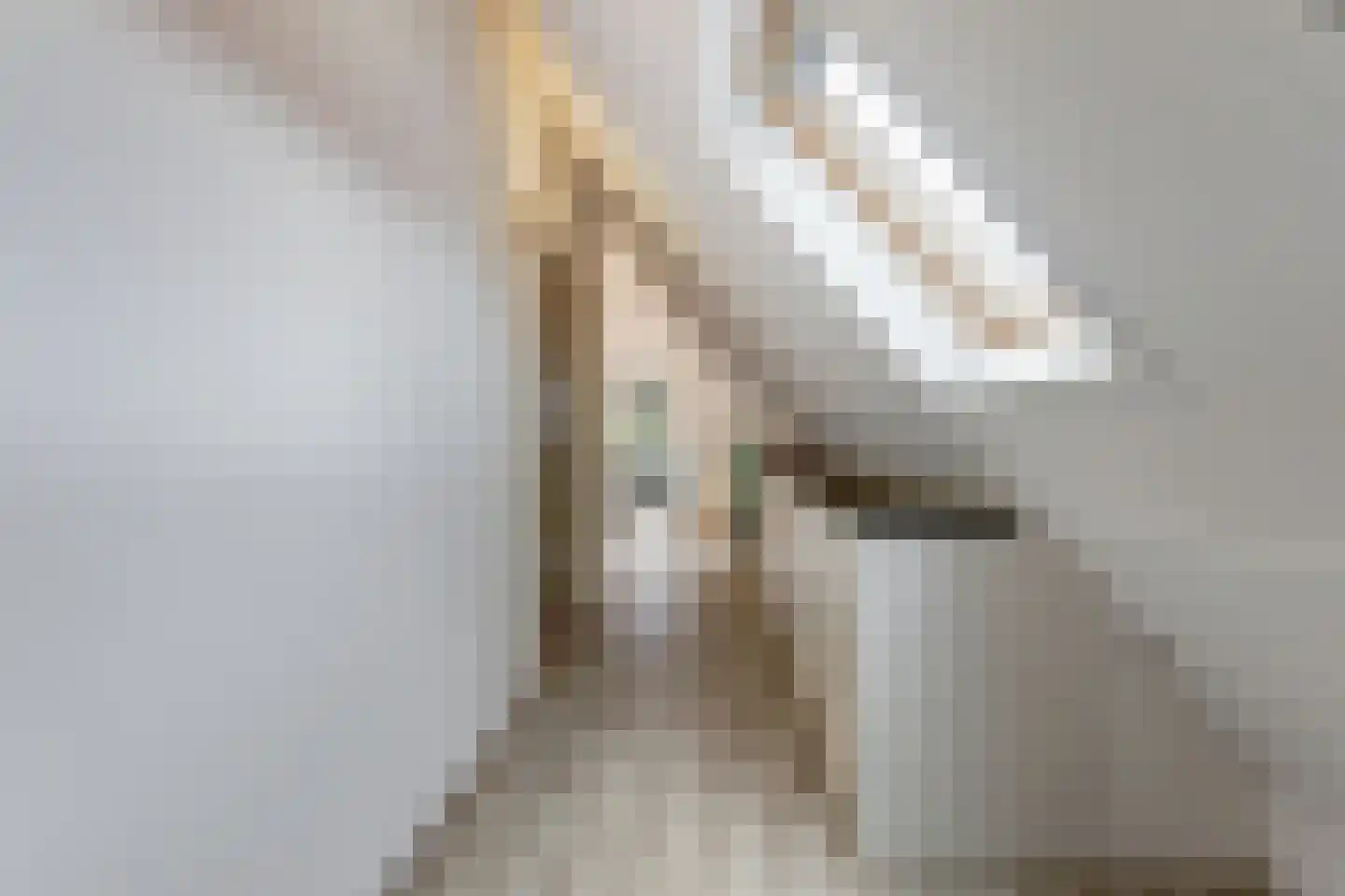 IJsvogel 81 Lathum thumbnail 42