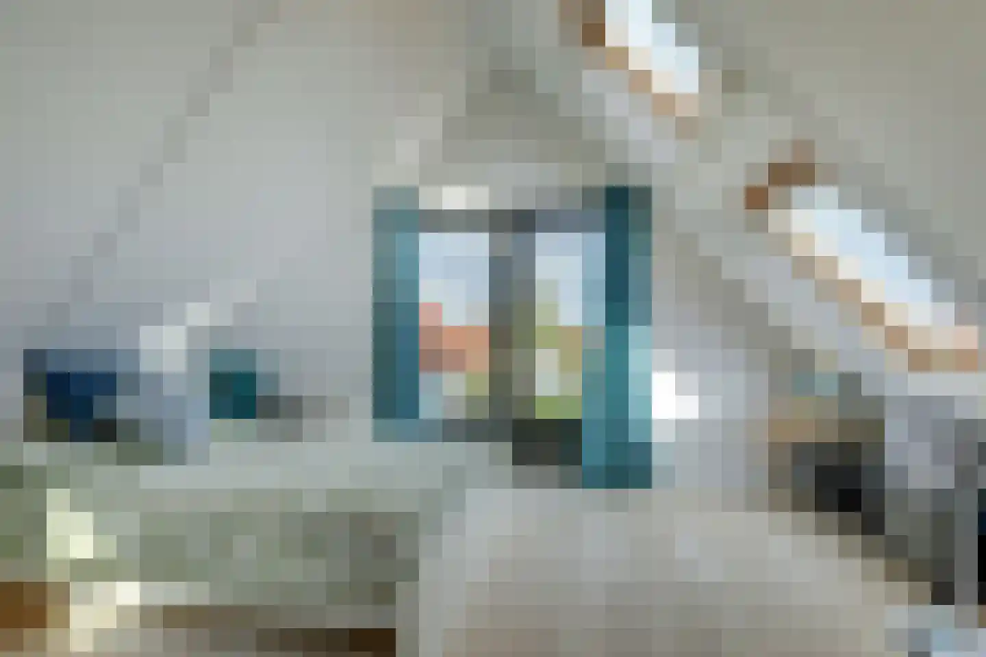 IJsvogel 81 Lathum thumbnail 43