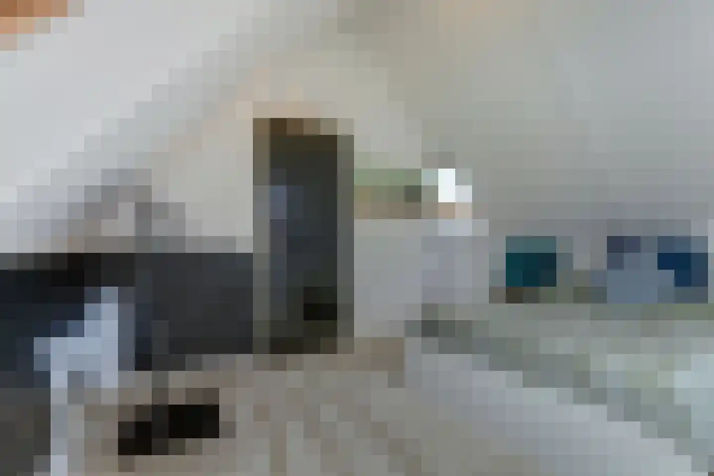 IJsvogel 81 Lathum thumbnail 44