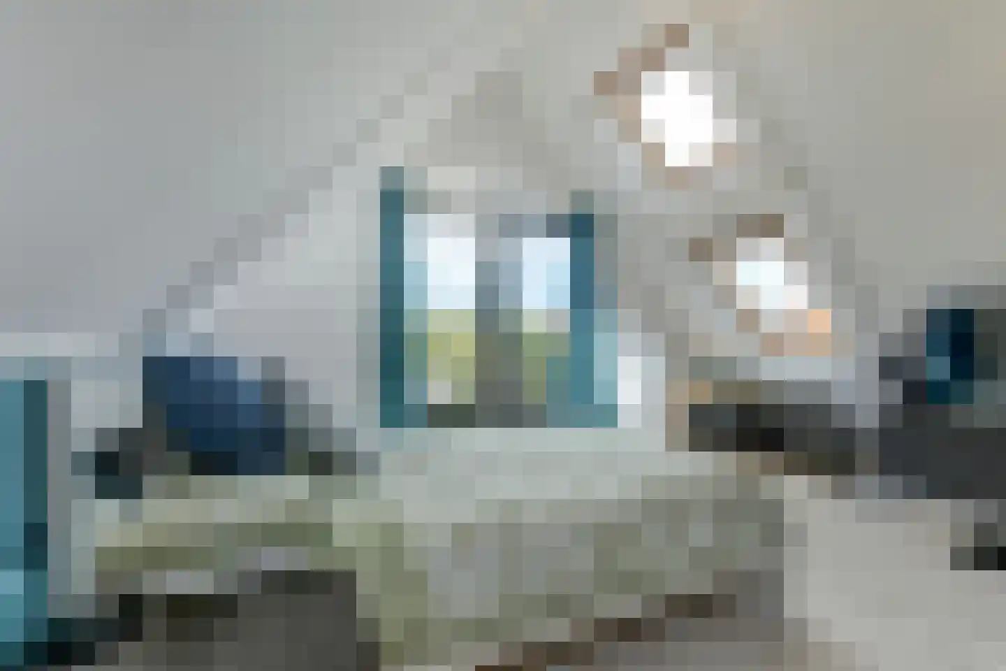 IJsvogel 81 Lathum thumbnail 45