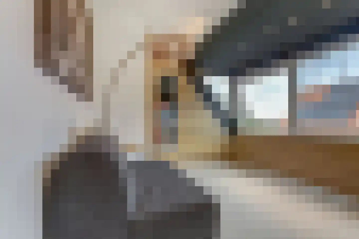 IJsvogel 81 Lathum thumbnail 47