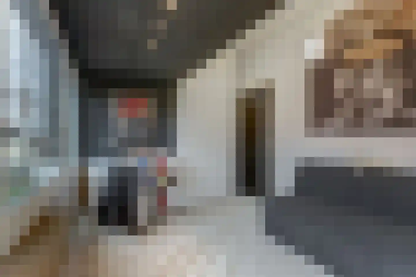 IJsvogel 81 Lathum thumbnail 48