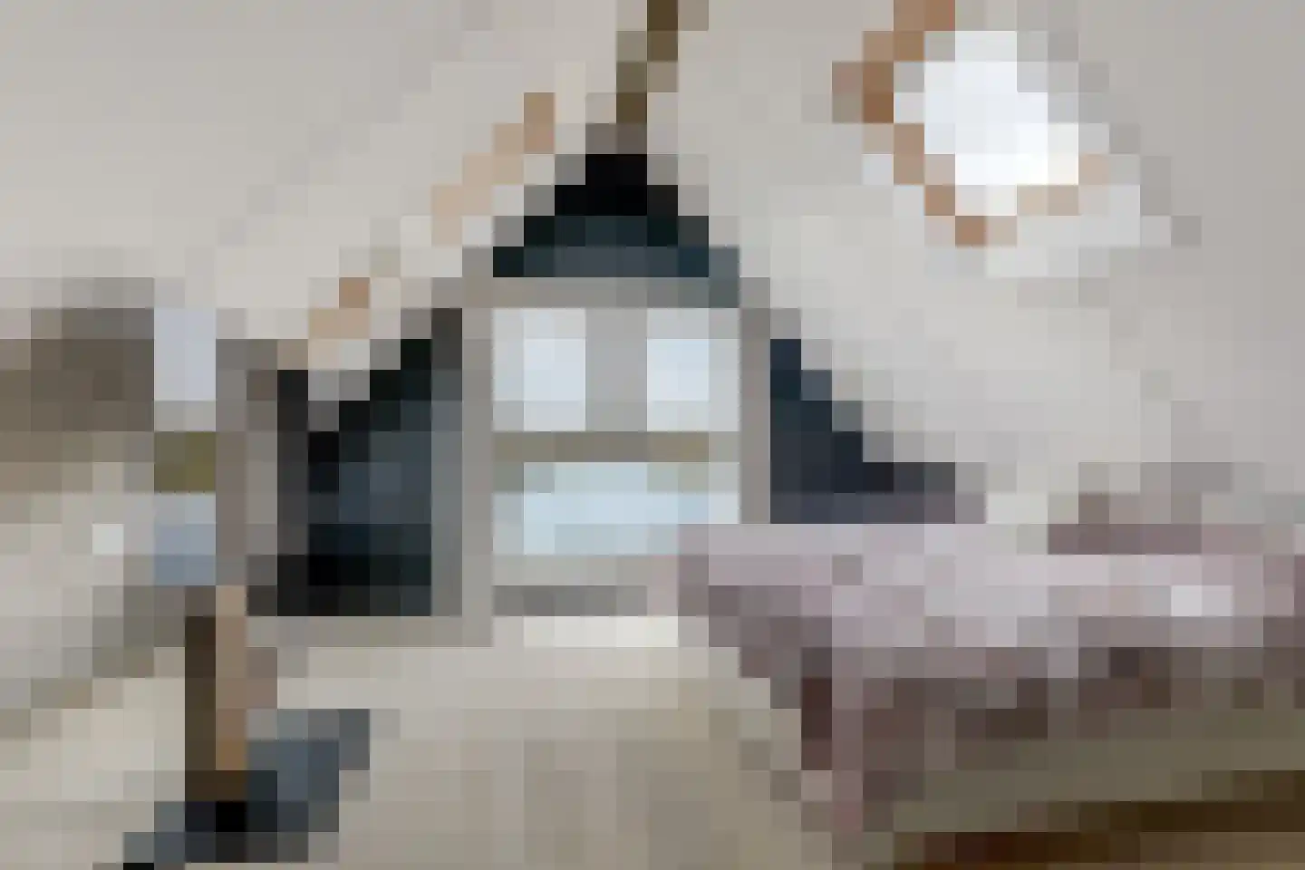 IJsvogel 81 Lathum thumbnail 50