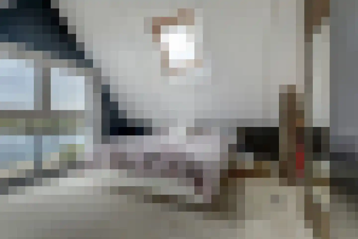 IJsvogel 81 Lathum thumbnail 51