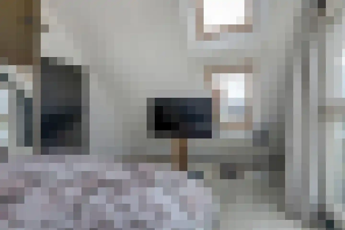IJsvogel 81 Lathum thumbnail 52
