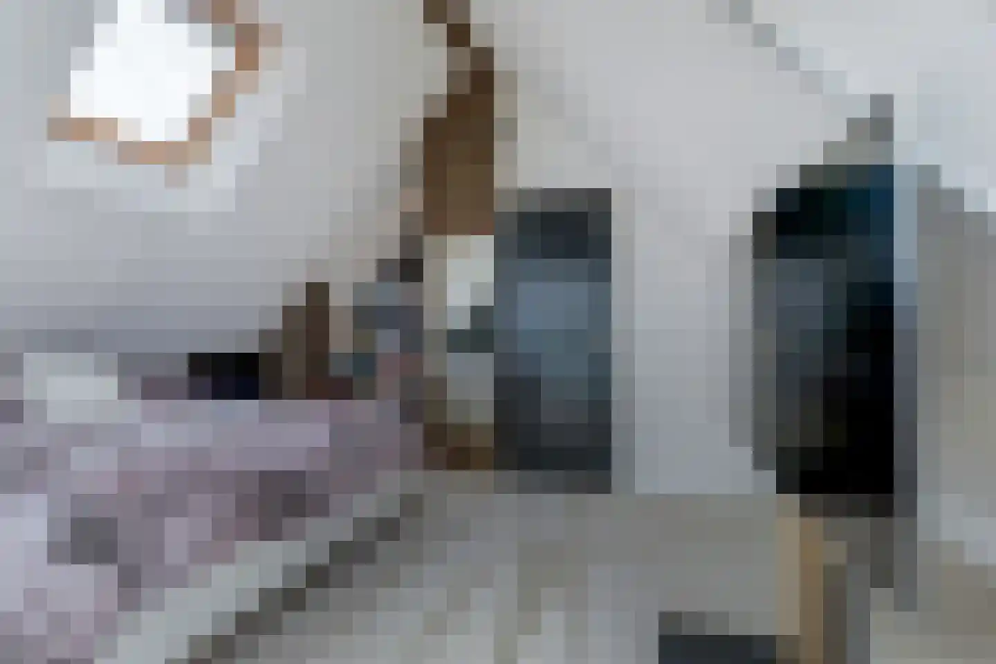 IJsvogel 81 Lathum thumbnail 53