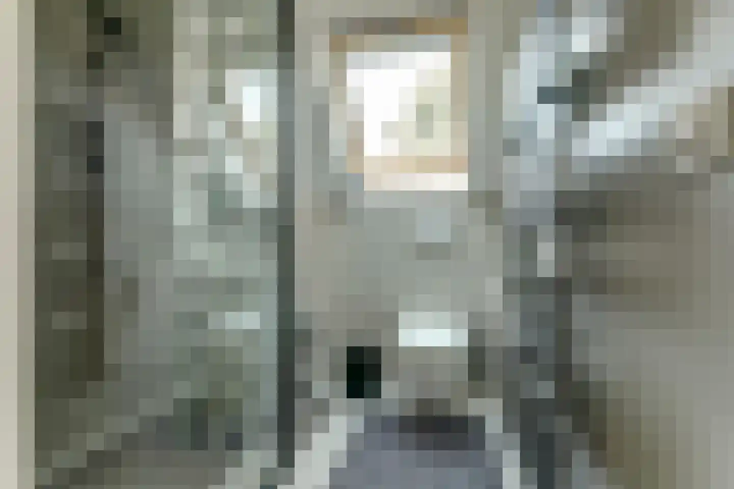 IJsvogel 81 Lathum thumbnail 56