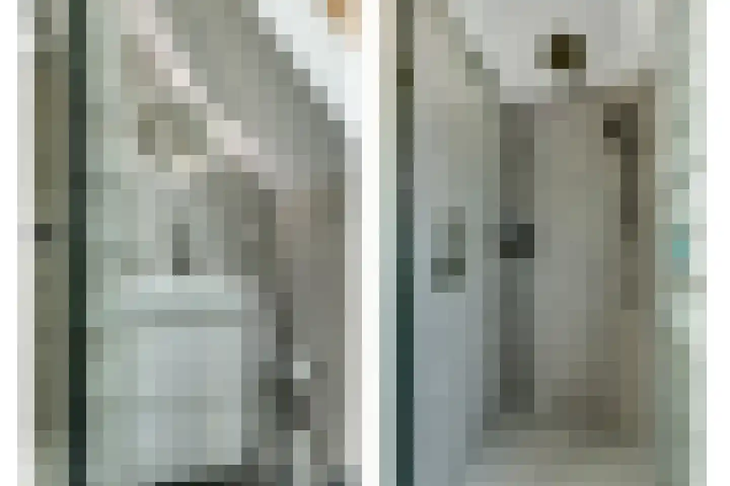 IJsvogel 81 Lathum thumbnail 57