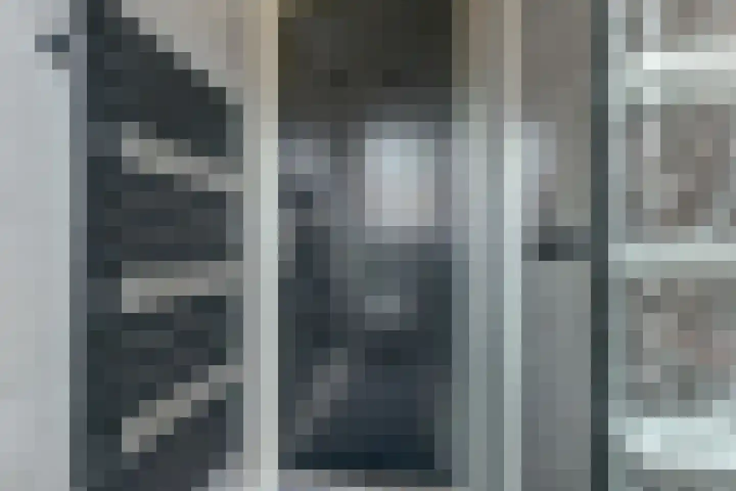 IJsvogel 81 Lathum thumbnail 58