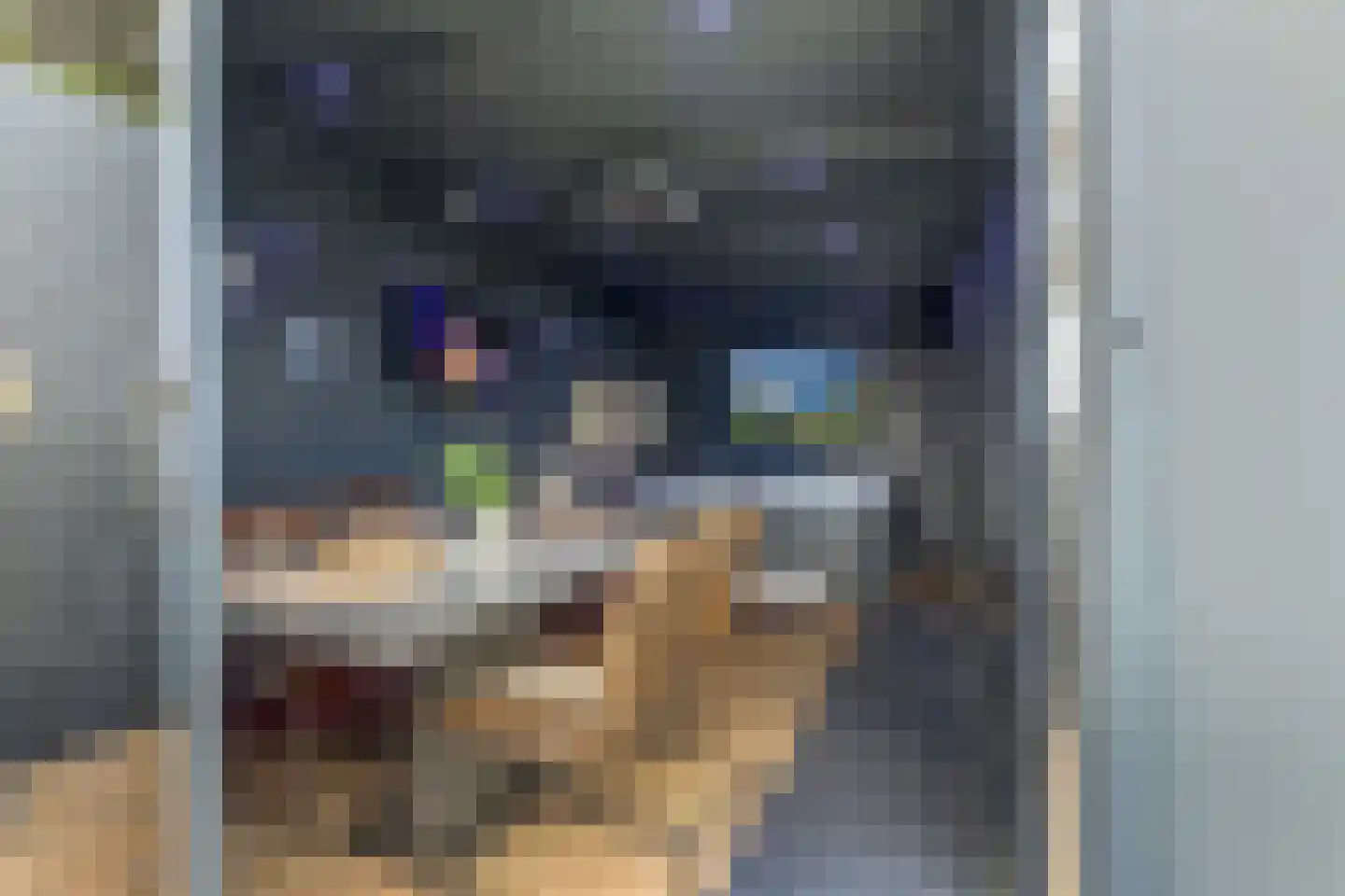 IJsvogel 81 Lathum thumbnail 59