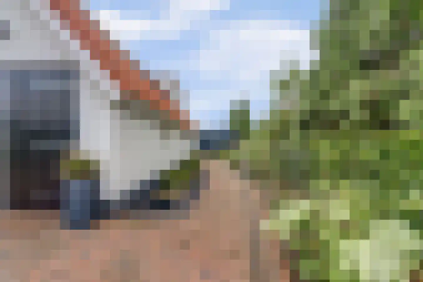 IJsvogel 81 Lathum thumbnail 6