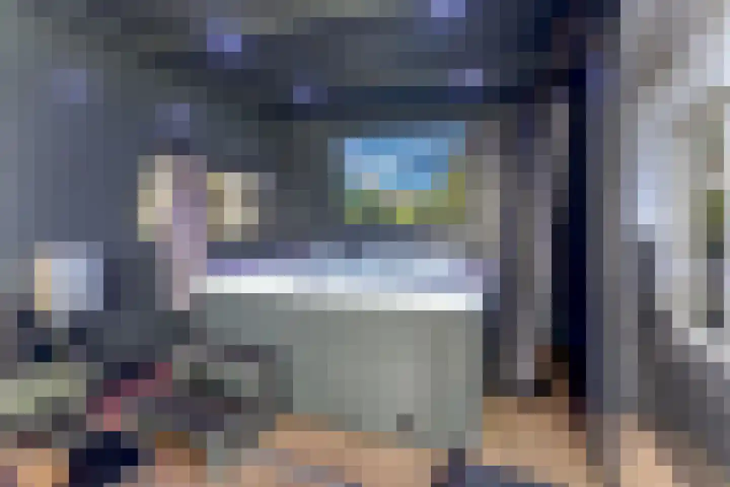 IJsvogel 81 Lathum thumbnail 60
