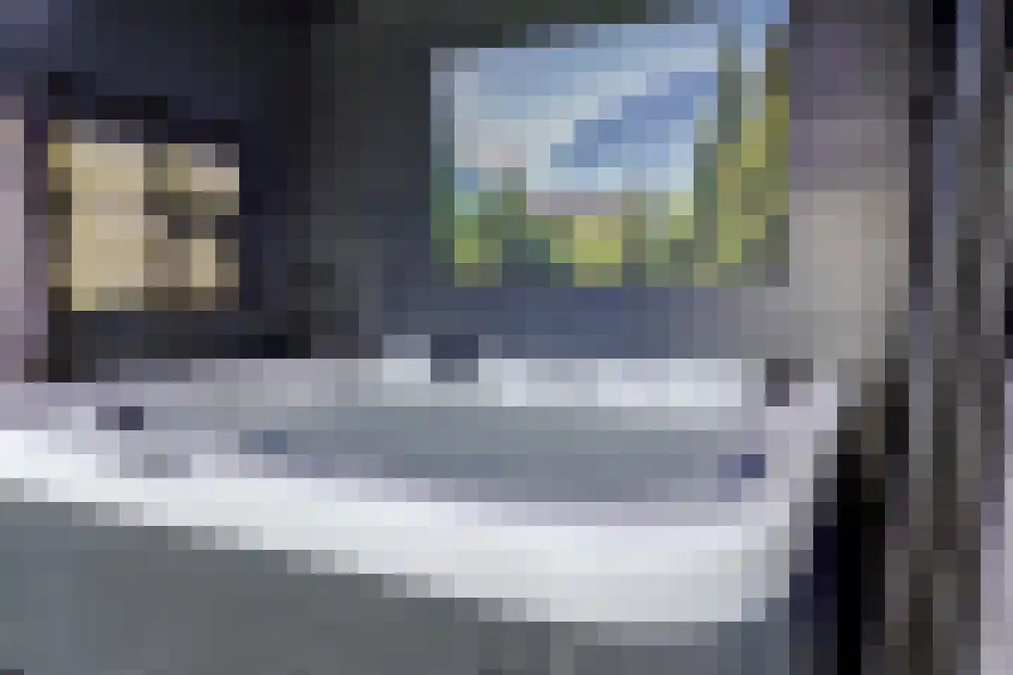 IJsvogel 81 Lathum thumbnail 61