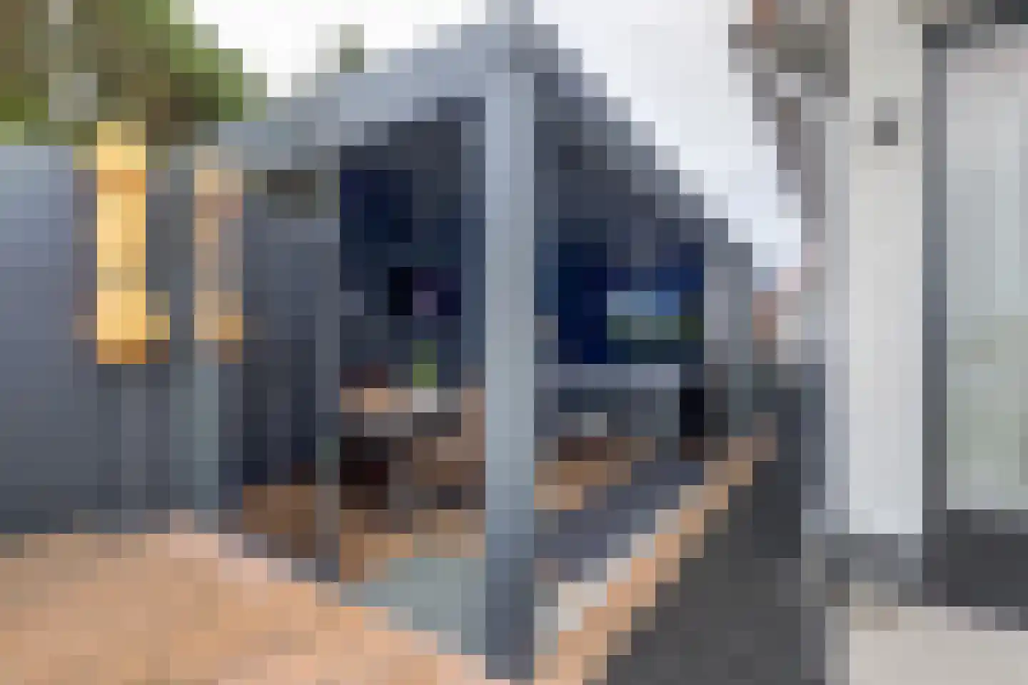 IJsvogel 81 Lathum thumbnail 63
