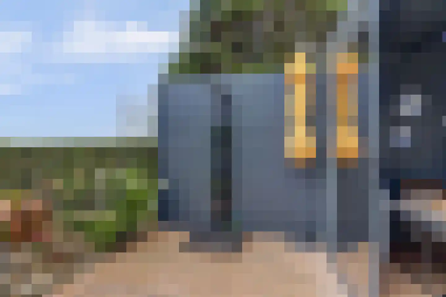 IJsvogel 81 Lathum thumbnail 64